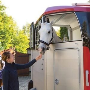 Ifor Williams – Hbx 506 – 2 Places – Neuf